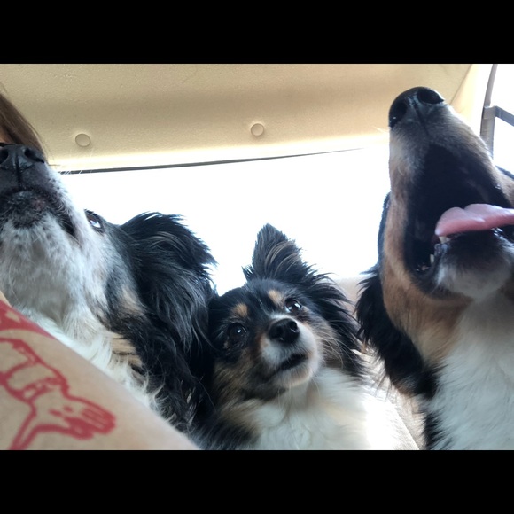 🧿ItsybitsyGypsy🧿 - Picture 8 of 10